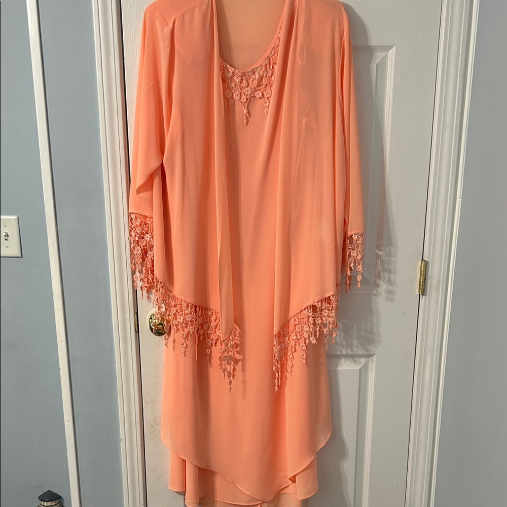 Roaman's Coral Lace Overlay Dress size 24W